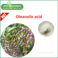 Pure Natural Oleanolic Acid Extract